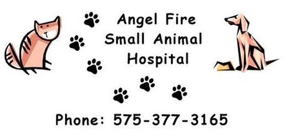 Angel Fire Small Animal Hospital